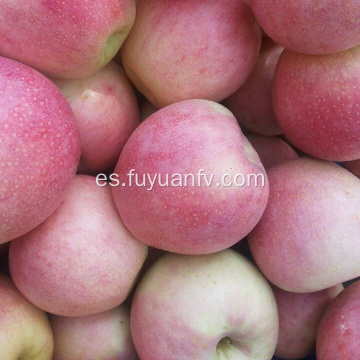 Precio al por mayor Qinguan manzana con buena calidad